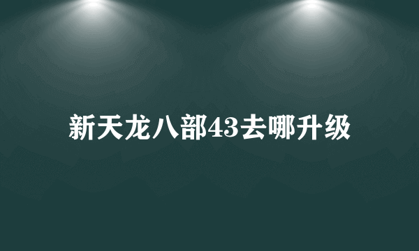 新天龙八部43去哪升级