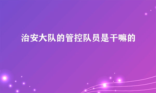 治安大队的管控队员是干嘛的