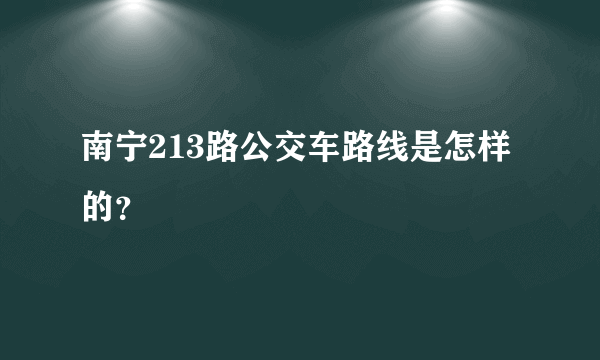 南宁213路公交车路线是怎样的？