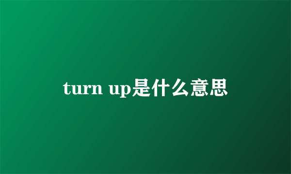 turn up是什么意思