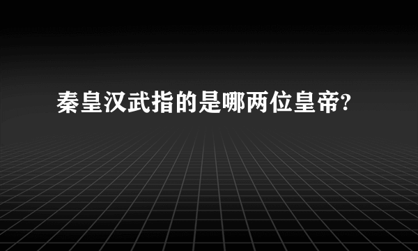 秦皇汉武指的是哪两位皇帝?