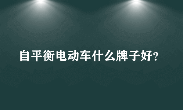 自平衡电动车什么牌子好？