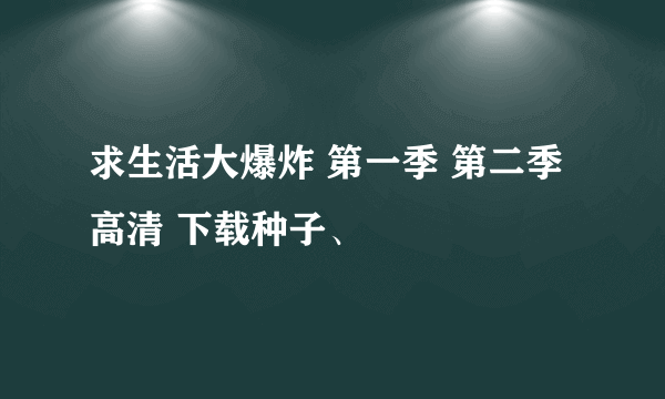 求生活大爆炸 第一季 第二季 高清 下载种子、