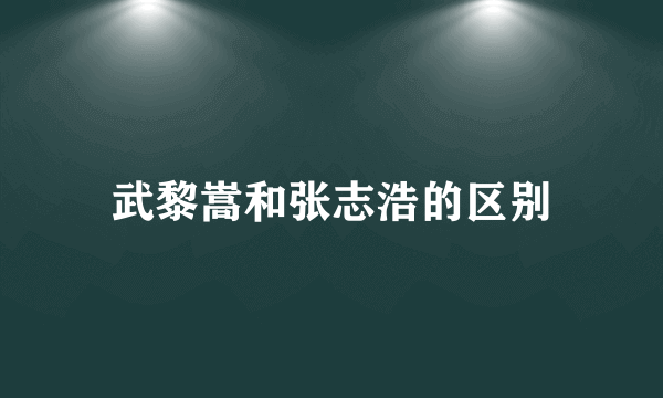 武黎嵩和张志浩的区别