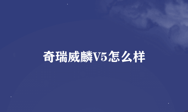 奇瑞威麟V5怎么样