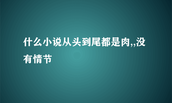 什么小说从头到尾都是肉,,没有情节