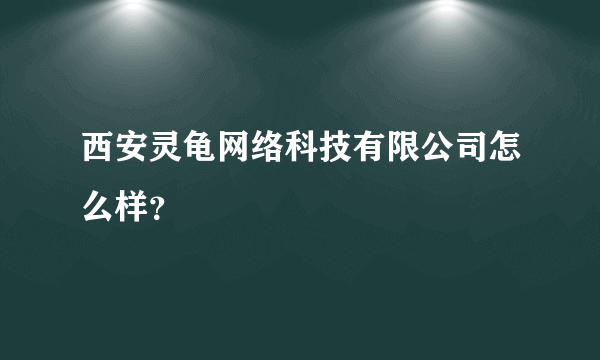 西安灵龟网络科技有限公司怎么样？