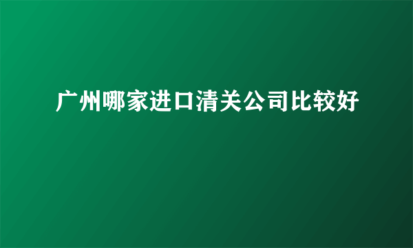 广州哪家进口清关公司比较好