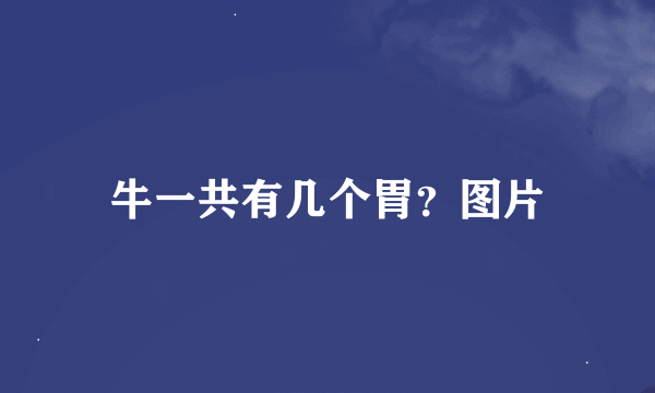 牛一共有几个胃？图片