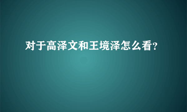 对于高泽文和王境泽怎么看？