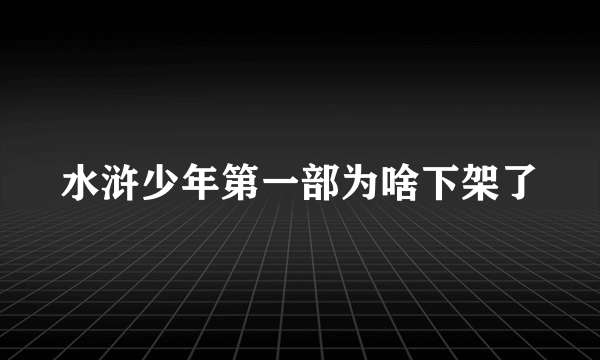 水浒少年第一部为啥下架了