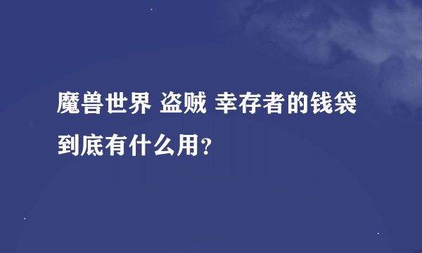 魔兽世界 盗贼 幸存者的钱袋 到底有什么用？