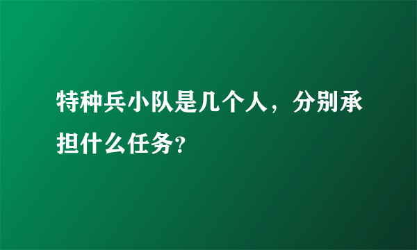 特种兵小队是几个人，分别承担什么任务？