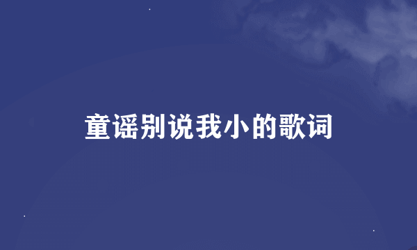 童谣别说我小的歌词