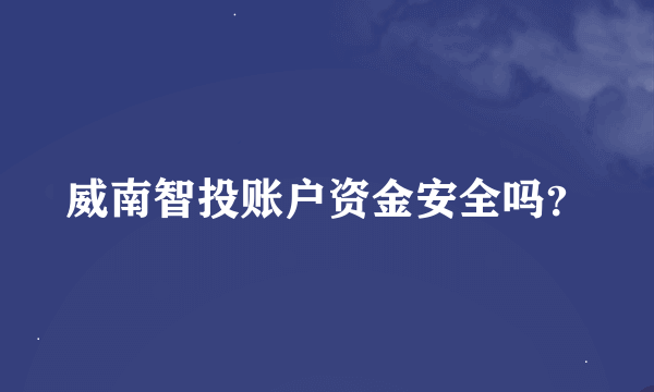 威南智投账户资金安全吗？