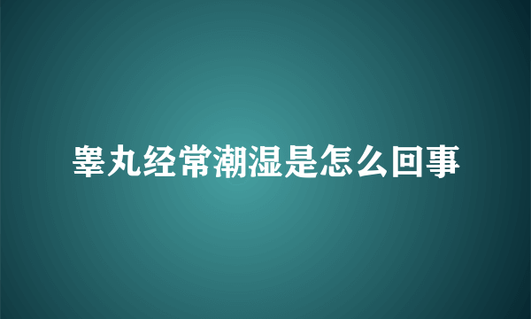 睾丸经常潮湿是怎么回事