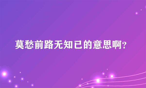 莫愁前路无知已的意思啊？