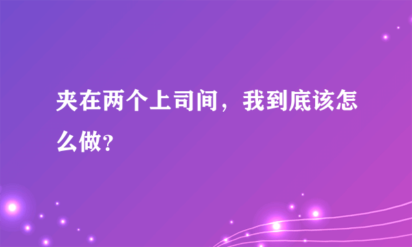 夹在两个上司间，我到底该怎么做？