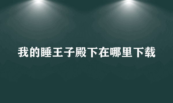 我的睡王子殿下在哪里下载