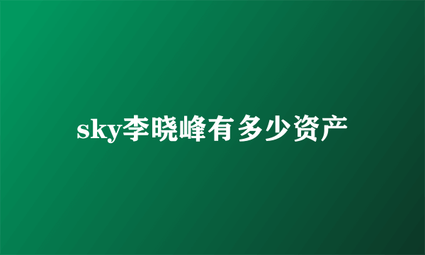 sky李晓峰有多少资产