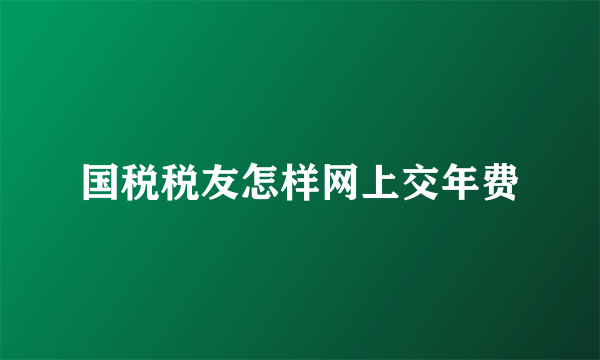 国税税友怎样网上交年费