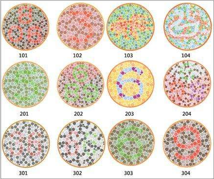 色盲检查图第四版有哪些图