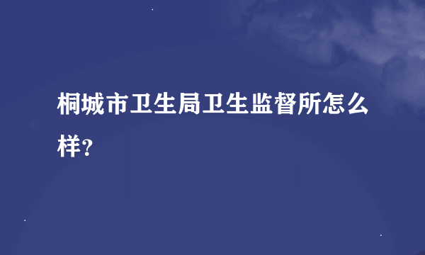 桐城市卫生局卫生监督所怎么样？