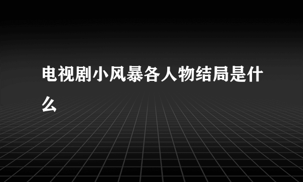 电视剧小风暴各人物结局是什么