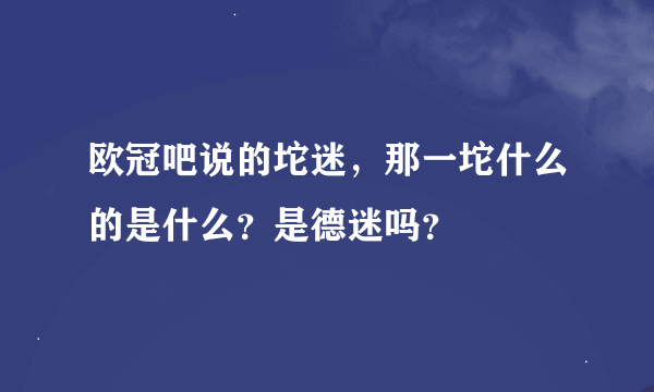 欧冠吧说的坨迷，那一坨什么的是什么？是德迷吗？