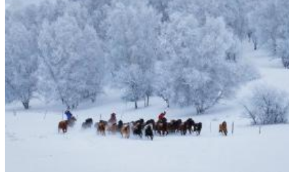 东北下的最大一场雪是零几年