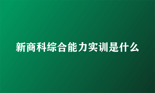 新商科综合能力实训是什么