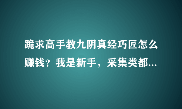 跪求高手教九阴真经巧匠怎么赚钱？我是新手，采集类都需要学什么？每天需要做什么，麻烦说的详细点谢谢