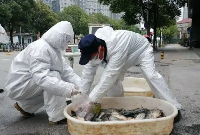 因活鱼不能进小区，上海小区门口当街摔活鱼，该小区为何有这一政策？