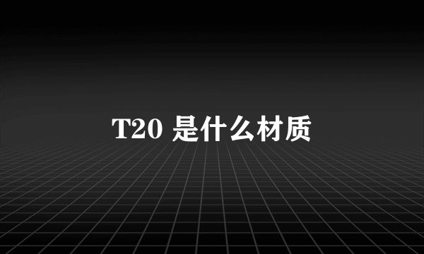 T20 是什么材质