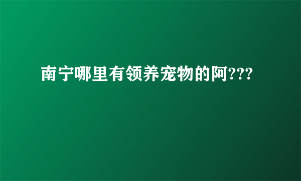 南宁哪里有领养宠物的阿???