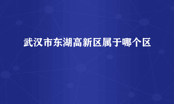 武汉市东湖高新区属于哪个区