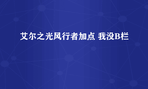 艾尔之光风行者加点 我没B栏