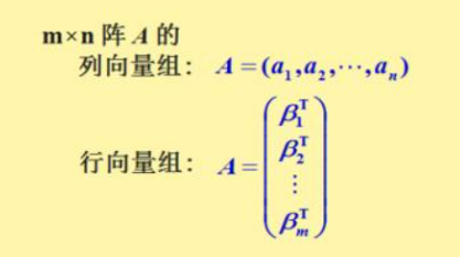 单位向量是什么？