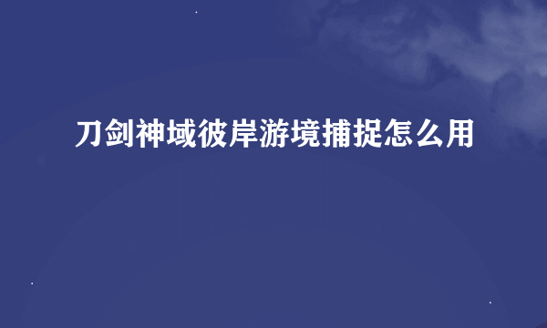 刀剑神域彼岸游境捕捉怎么用