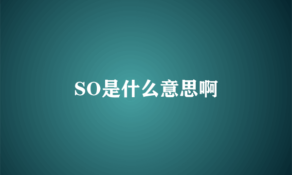 SO是什么意思啊