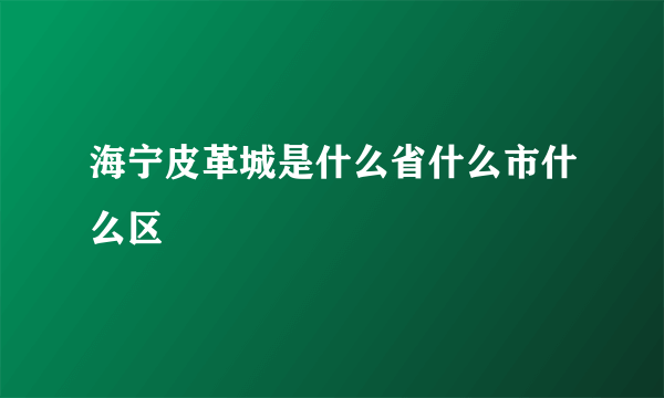 海宁皮革城是什么省什么市什么区