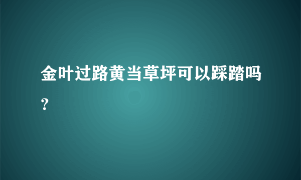 金叶过路黄当草坪可以踩踏吗？