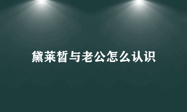 黛莱皙与老公怎么认识