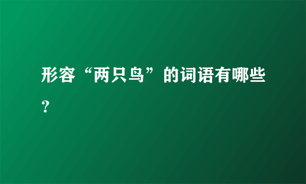 形容“两只鸟”的词语有哪些？