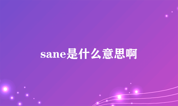 sane是什么意思啊