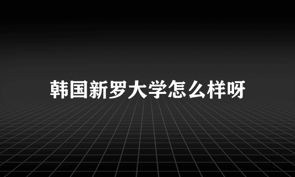 韩国新罗大学怎么样呀