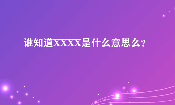 谁知道XXXX是什么意思么？