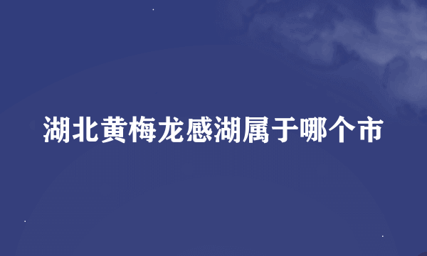 湖北黄梅龙感湖属于哪个市