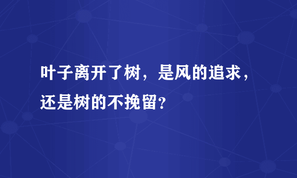 叶子离开了树，是风的追求，还是树的不挽留？