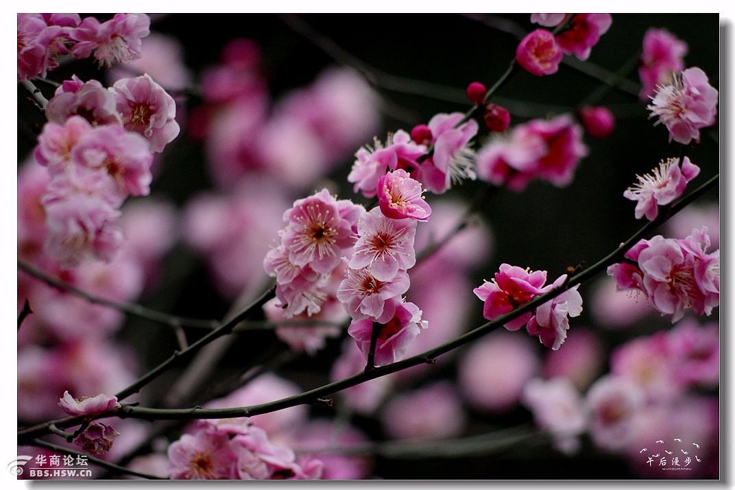 一年之计在于春，一日之计在于晨  是什么意思